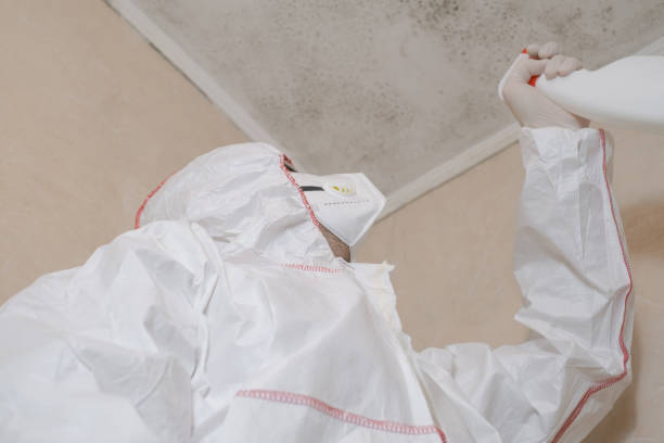 Best Mold Remediation Services  in Fort Montgomery, NY